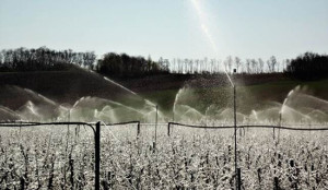 Технология защиты садов и виноградников от весенних заморозков при помощи установки вертикальной конвекции. Водопонижение и орошение