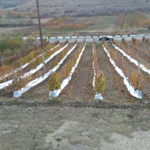 Водопонижение и орошение