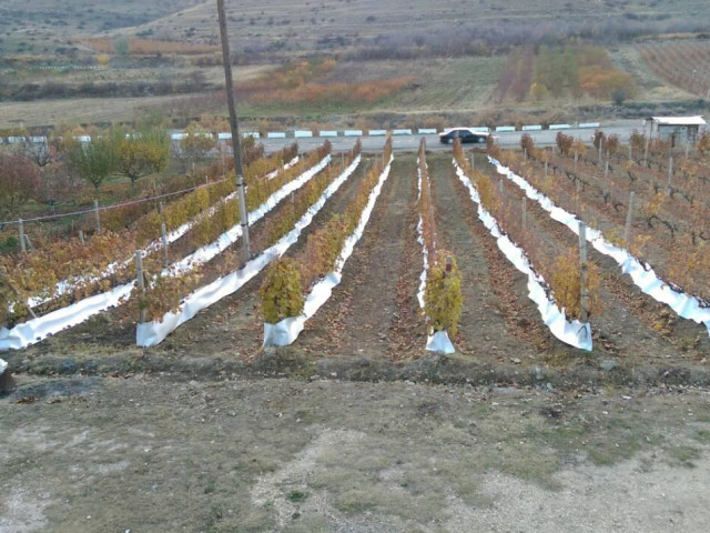 Водопонижение и орошение