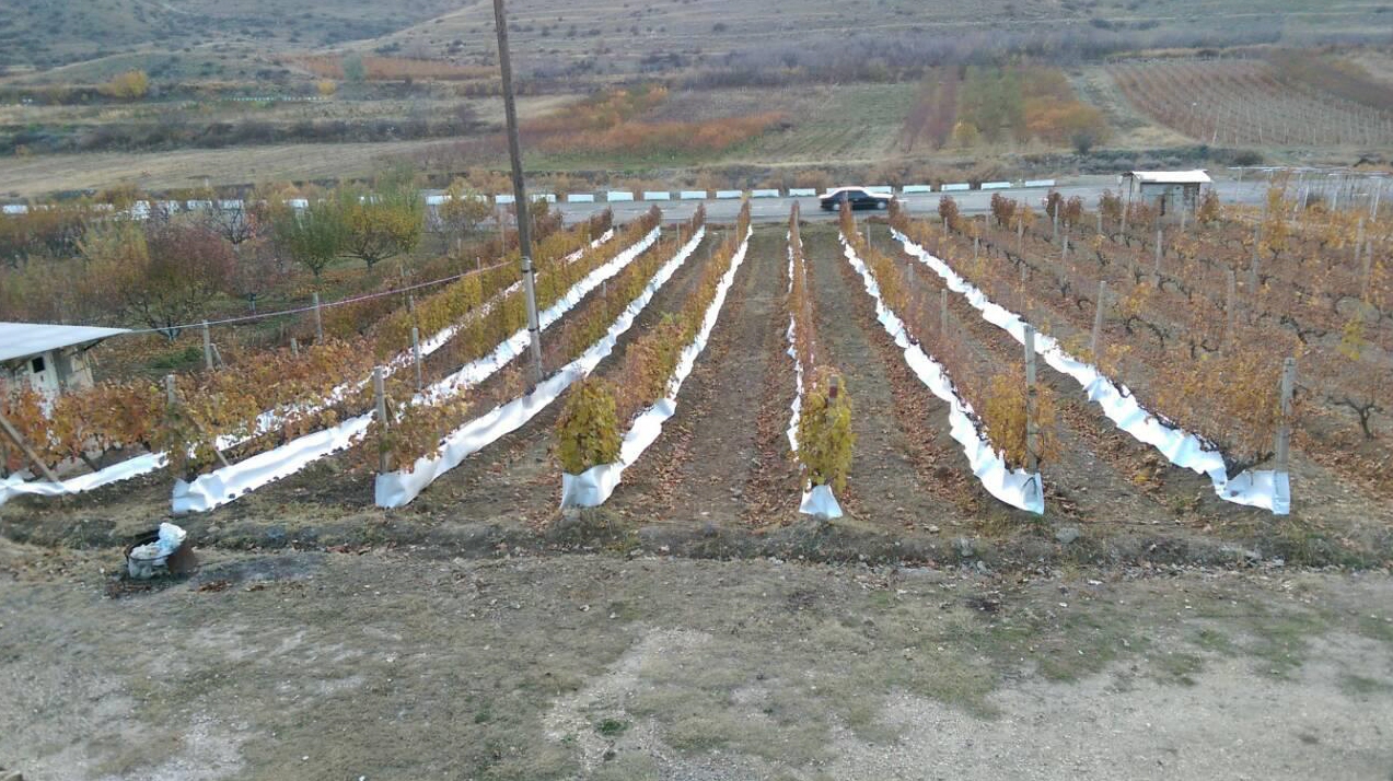 Водопонижение и орошение